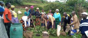 Agricultural Training Workshop